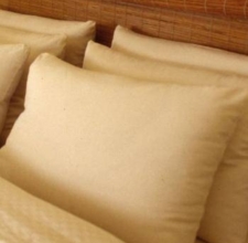 Foam Pillows Manufacturer Supplier Wholesale Exporter Importer Buyer Trader Retailer in Gwalior Madhya Pradesh India